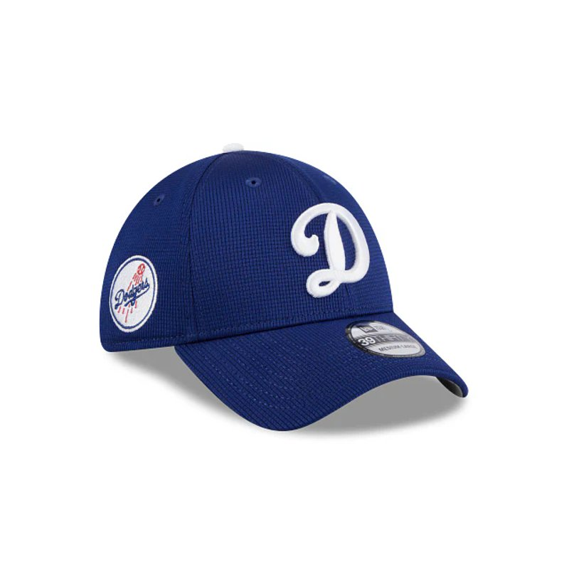 Los Angeles Dodgers MLB Batting Practice 2024 39THIRTY Elástica